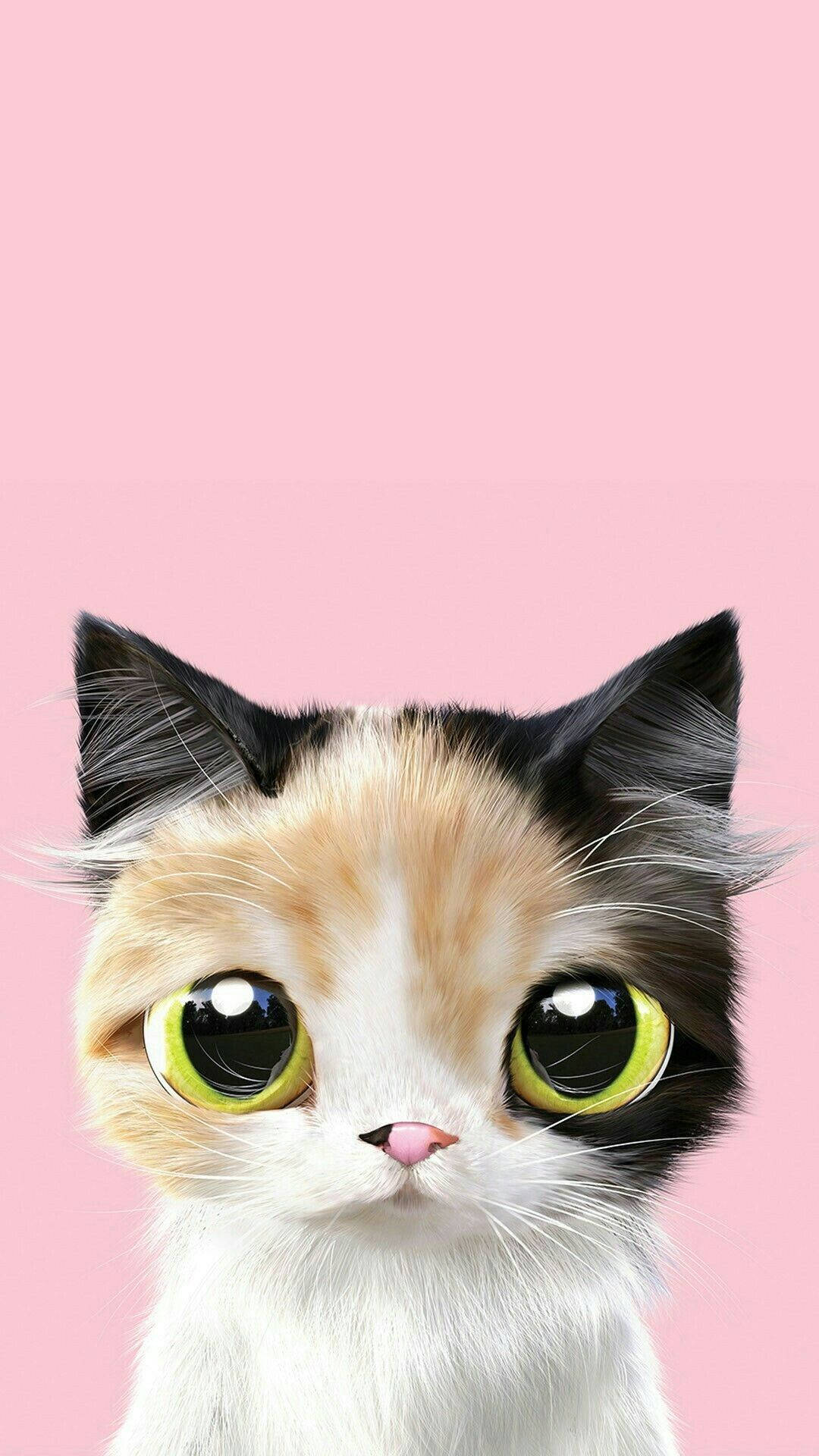 This cute pink cat looks perfect for a cuddle Wallpaper