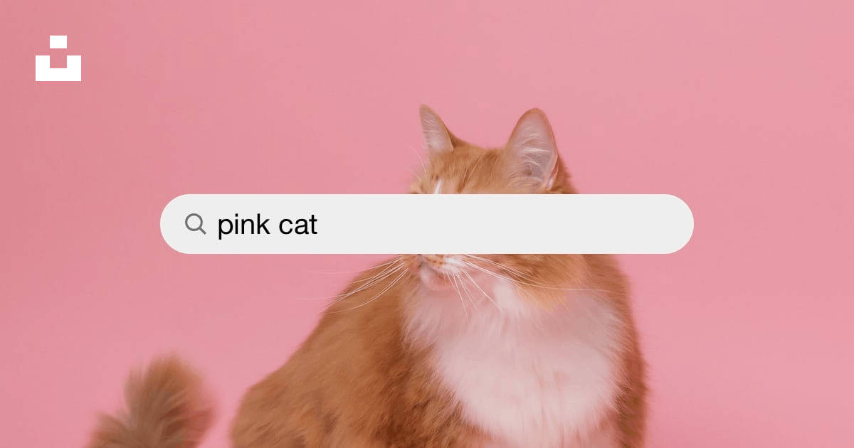 Sød Pink Kat Krøllet Sig Op til en lur Wallpaper