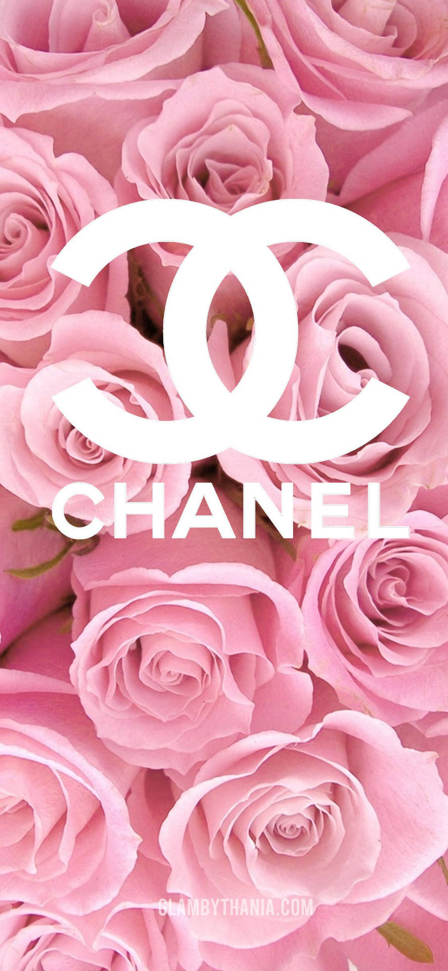 Download A pink rendition of one of the world's most iconic fashion logos,  the Chanel logo. Wallpaper
