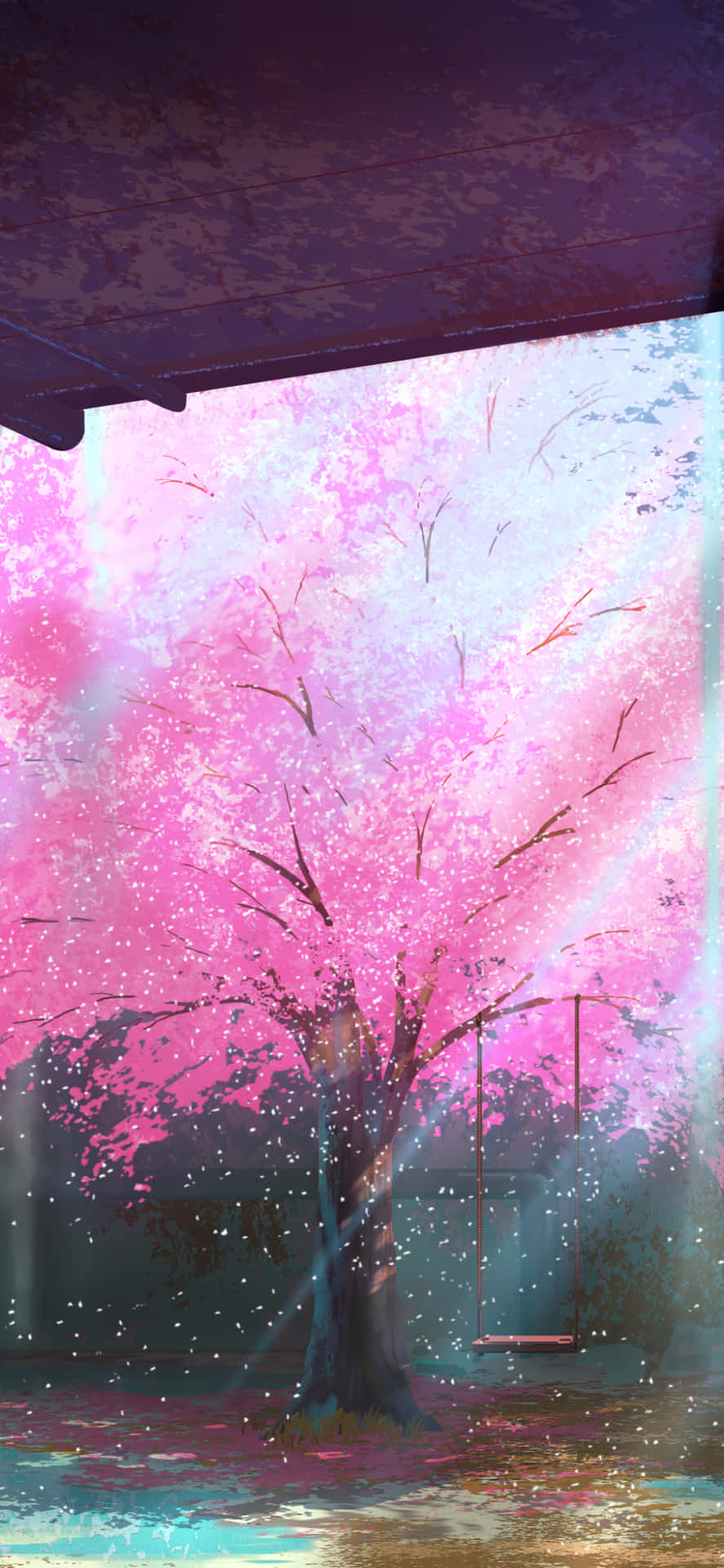Et pink kirsebærtræ i fuldt blomstrende. Wallpaper