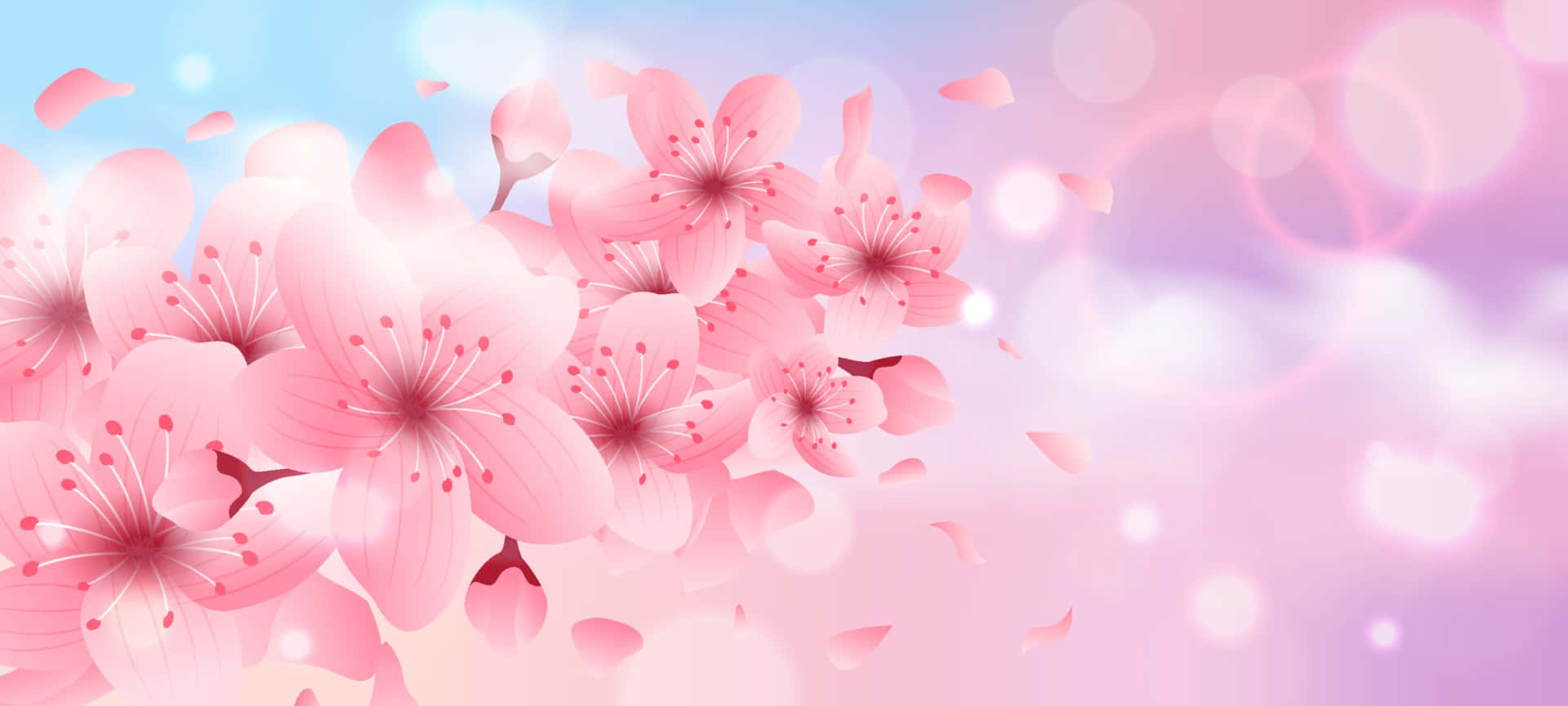 En mark af pink cherry blomstre træer Wallpaper