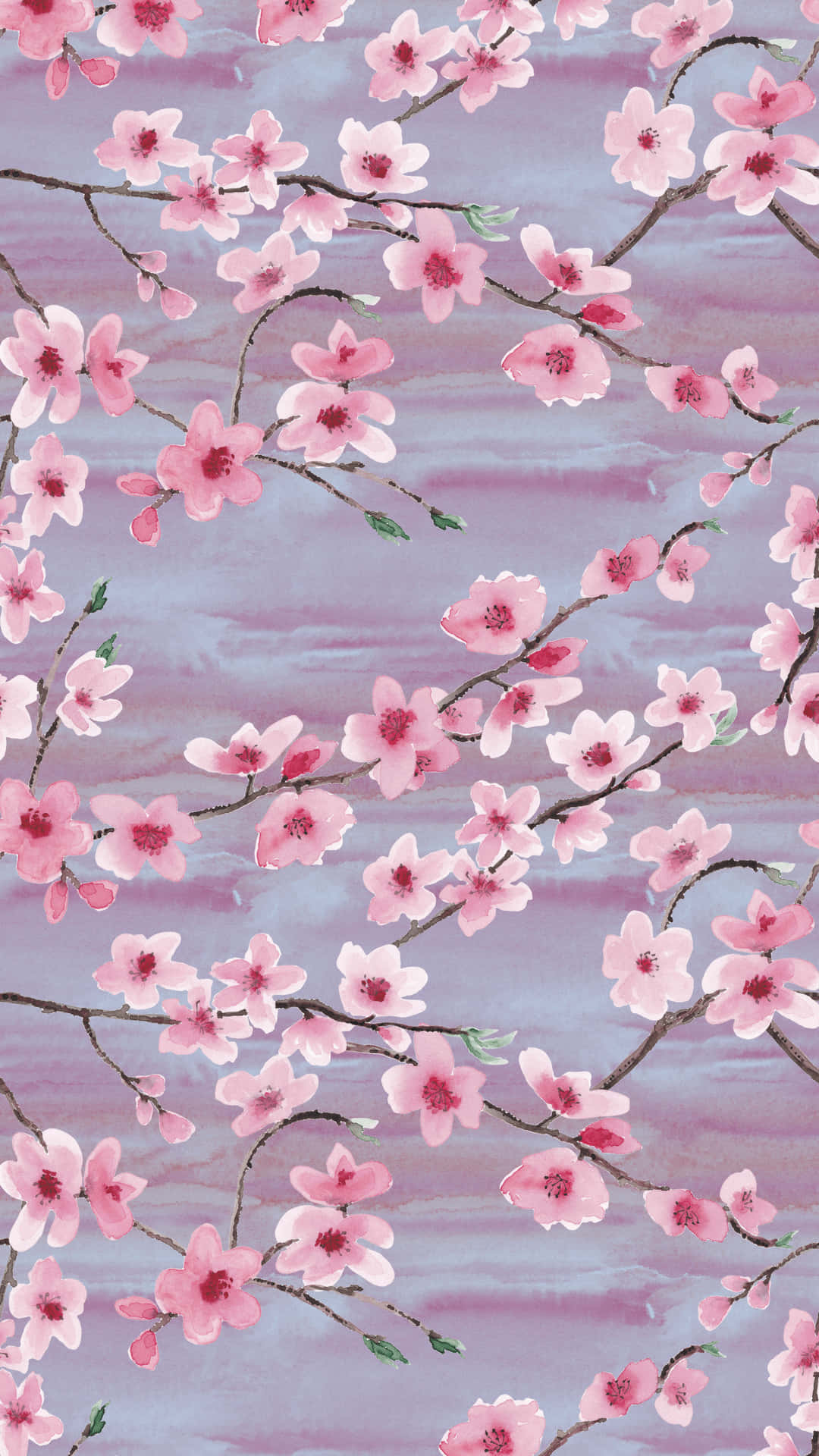 En følsom lyserød kirsebærblomst fyldt med romantik. Wallpaper