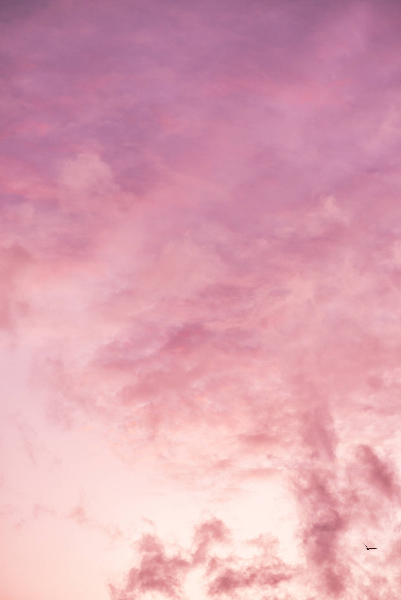 Pink Cloud Iphone Background