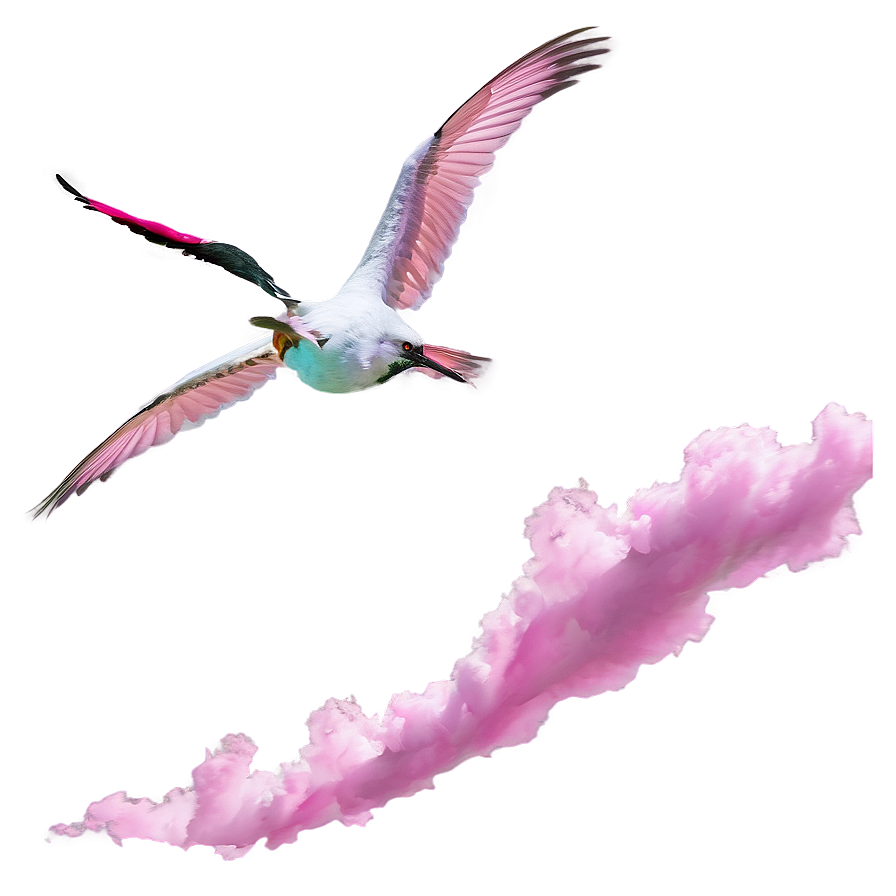 Pink Cloud With Birds Flying Png 93 PNG