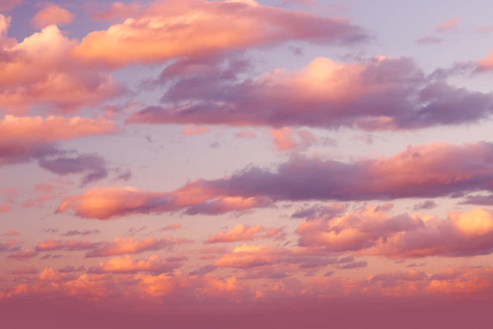Pink Clouds Background 1000 X 667 Background