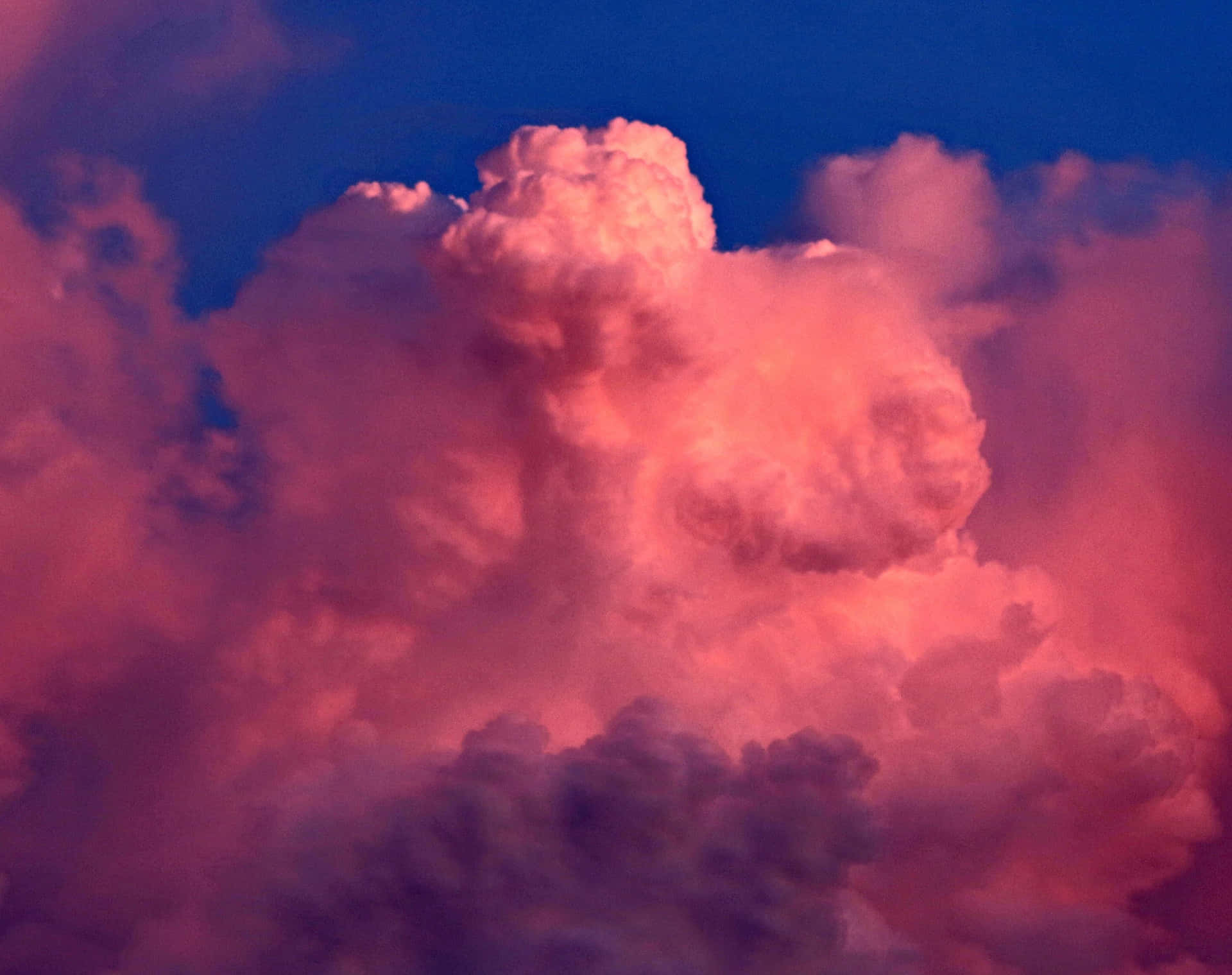 Puffy Pink Clouds Pictures
