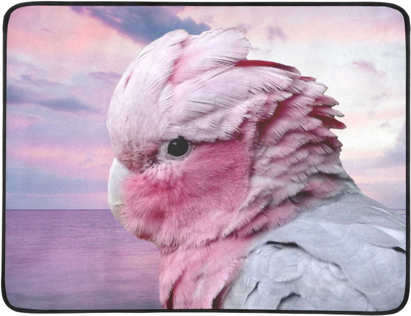 Pink Cockatoo Sunset Portrait PNG