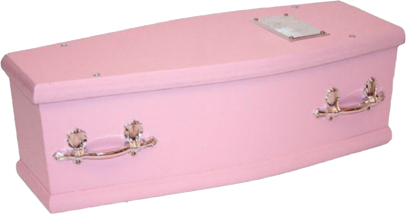 Pink Coffinwith Silver Handles PNG