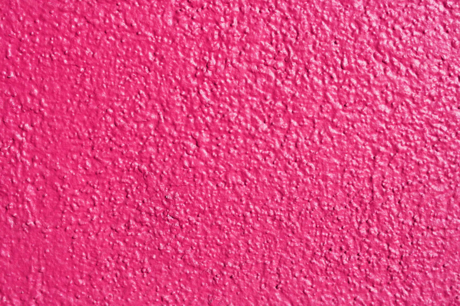 Blooming Pink Color Background