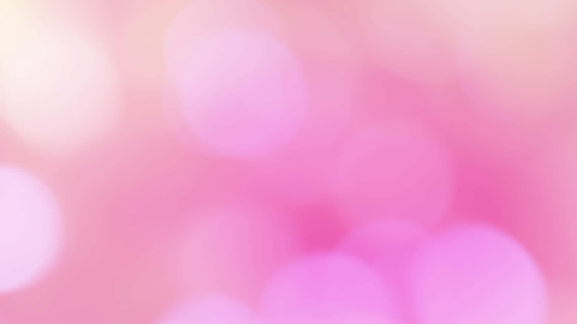 Pink Bokeh Background Vector