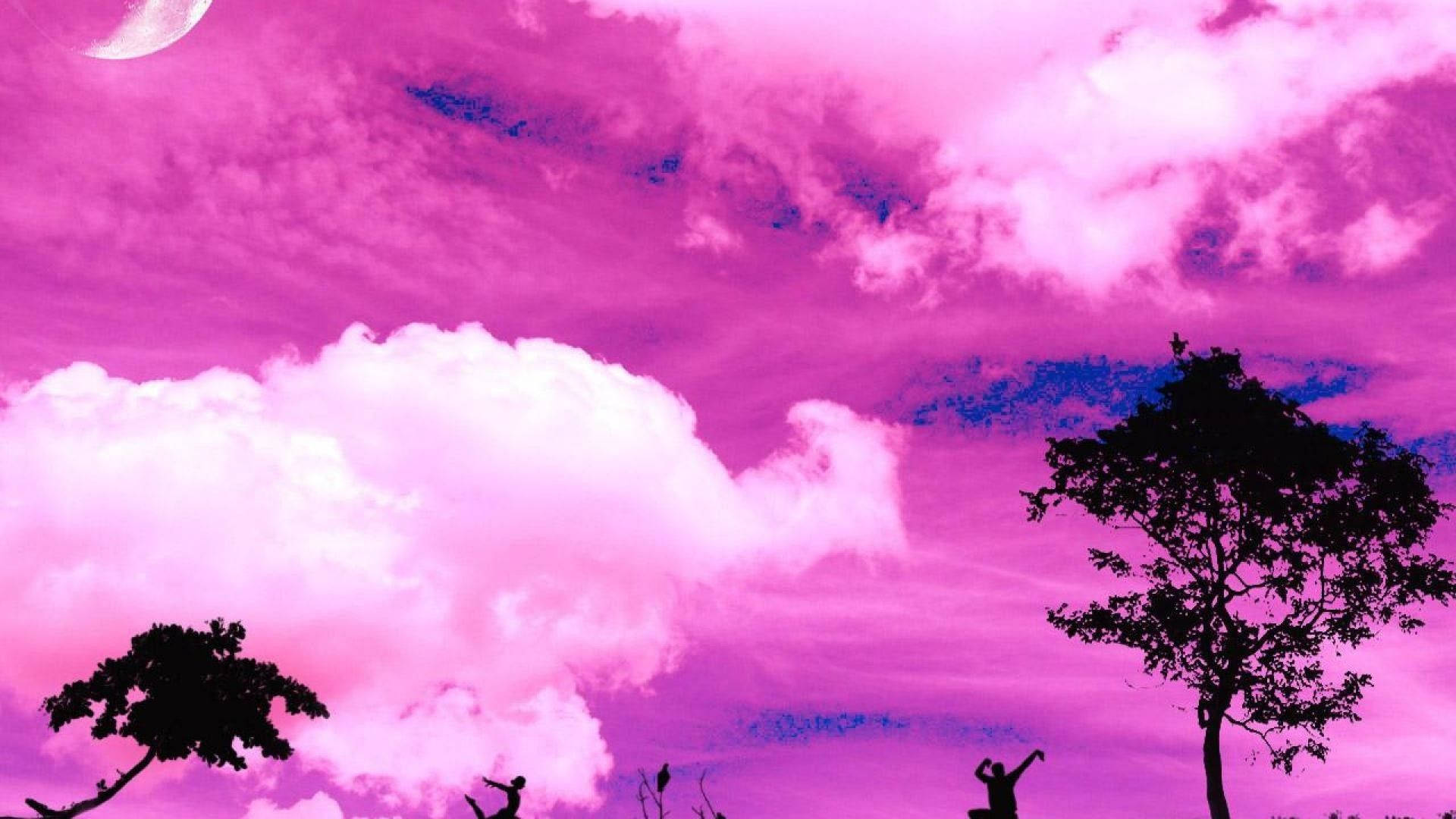 Pink Color Sky