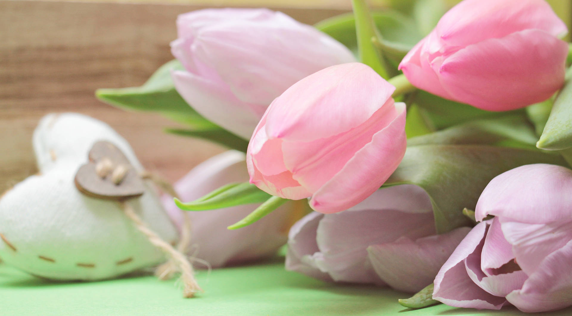 Pink Color Tulips Wallpaper