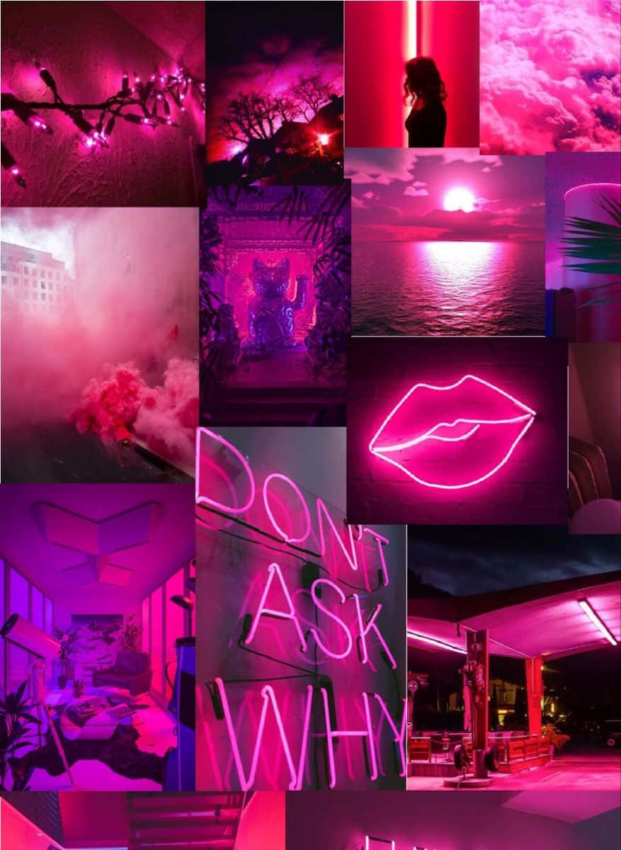 Download A Collage Of Photos With Pink Lights And A Pink Background ...