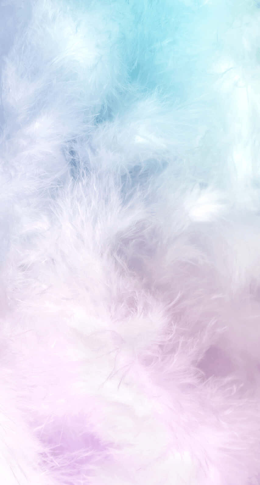 A Blue And Pink Feathered Background Wallpaper