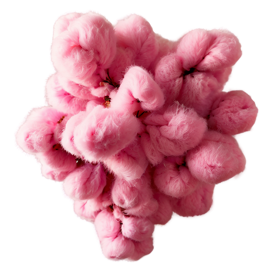 Pink Cotton Puff Png Krv PNG