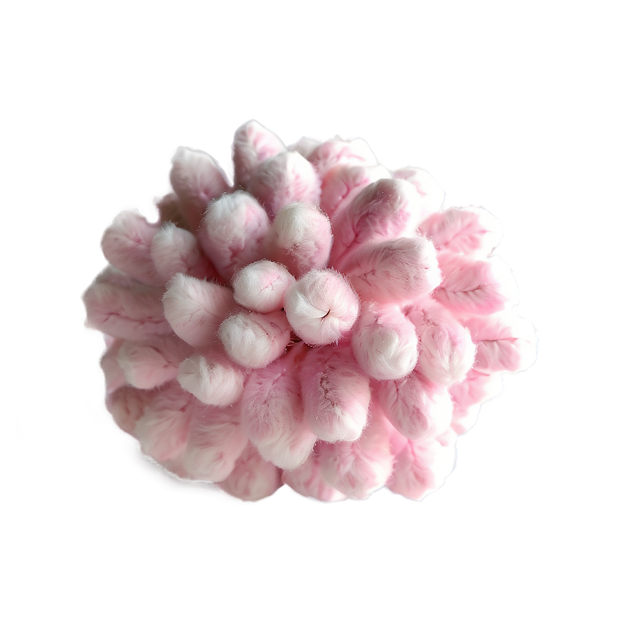 Pink Cotton Puff Png Whf15 PNG