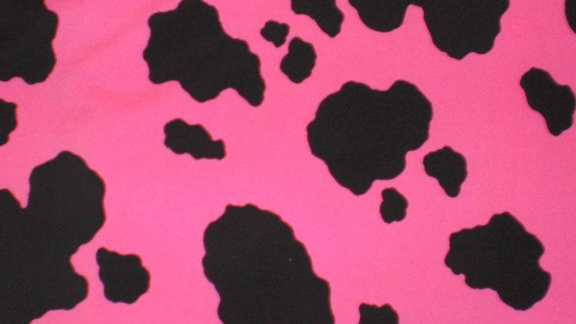 Pink Cow Print With Black Wallpaper