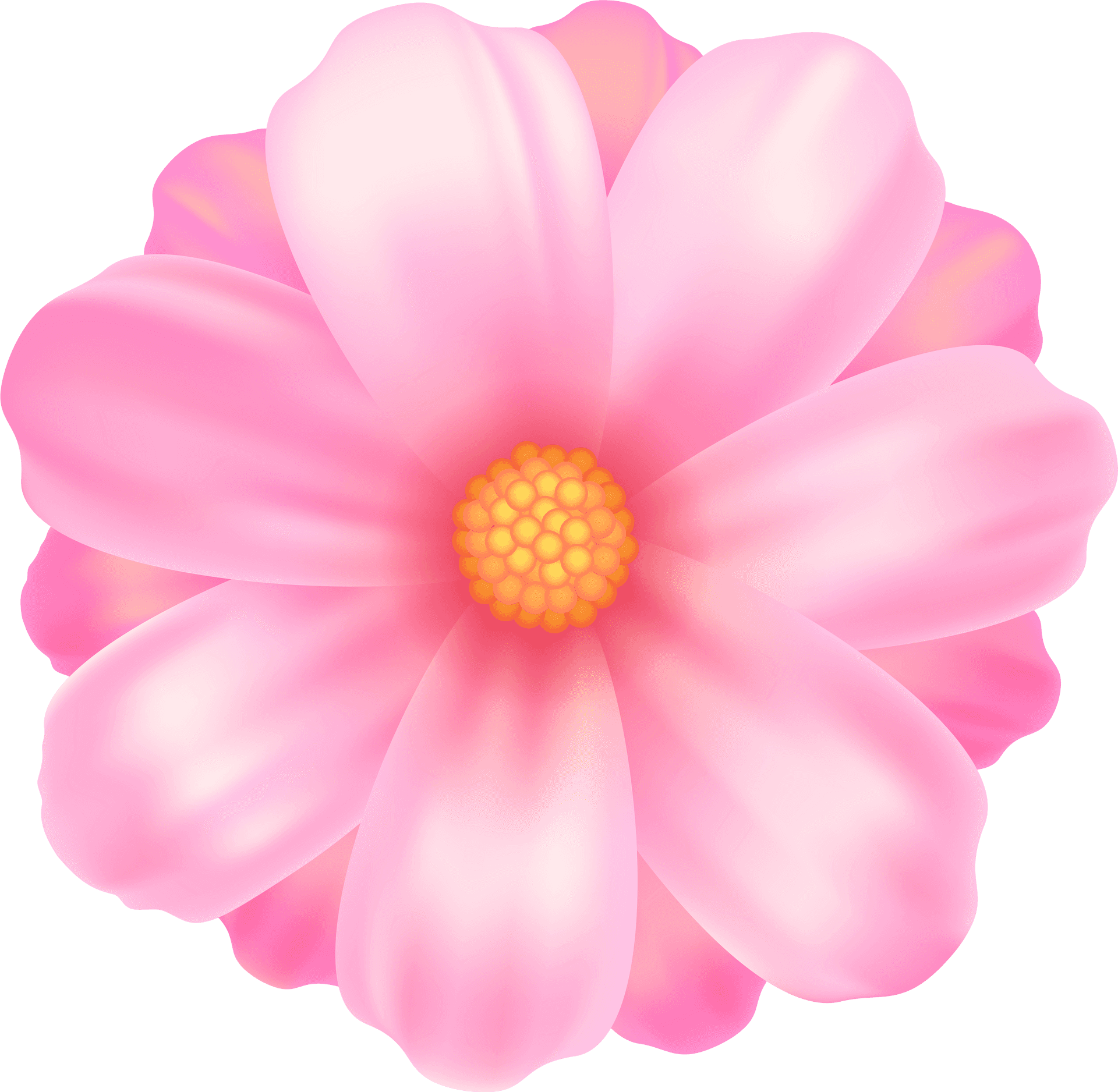 Pink Daisy Illustration PNG