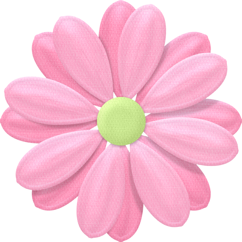 Pink Daisy Illustration PNG