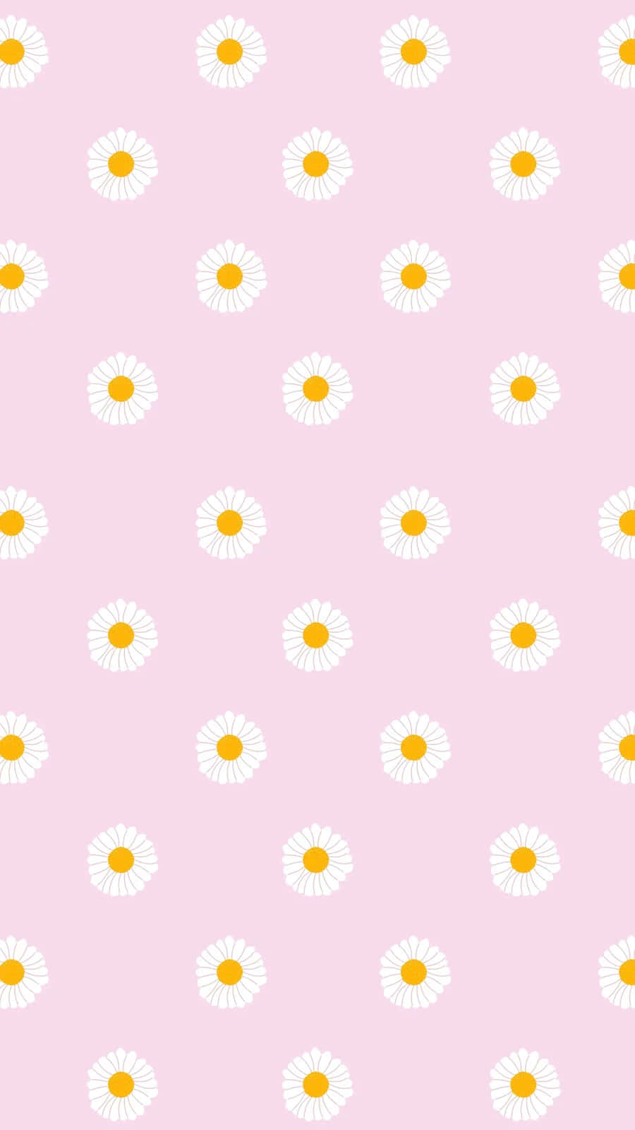 Pink Daisy Pattern Summer Aesthetic Wallpaper