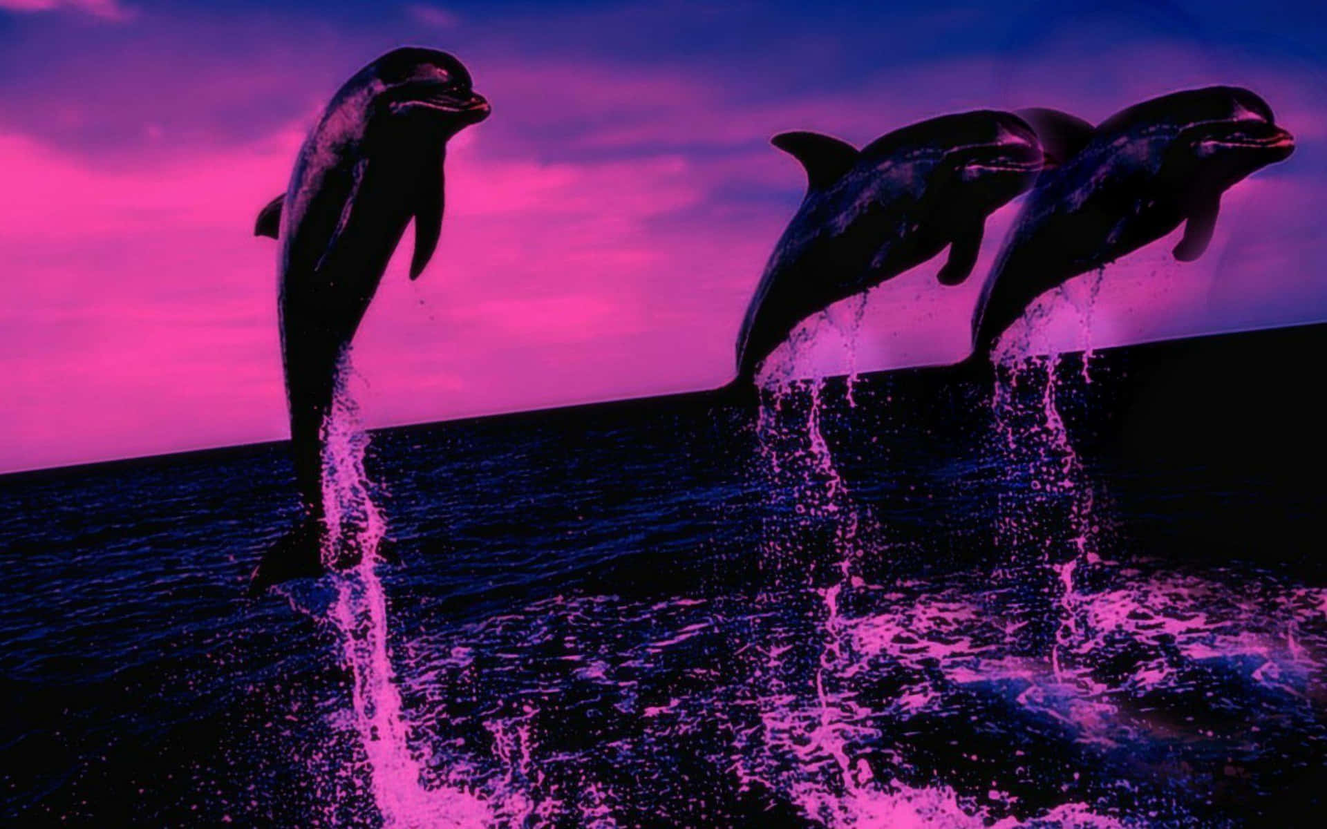 Dolphins Jumping Out Of The Water With Purple Lights Wallpaper