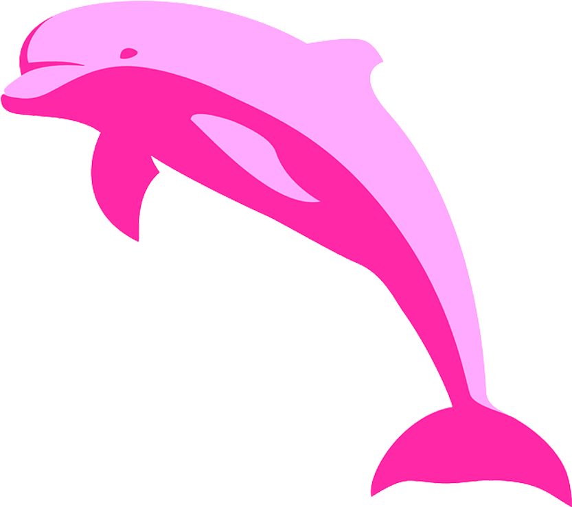 Pink Dolphin Graphic PNG