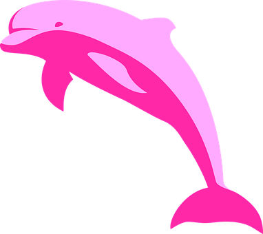 Pink Dolphin Graphic PNG