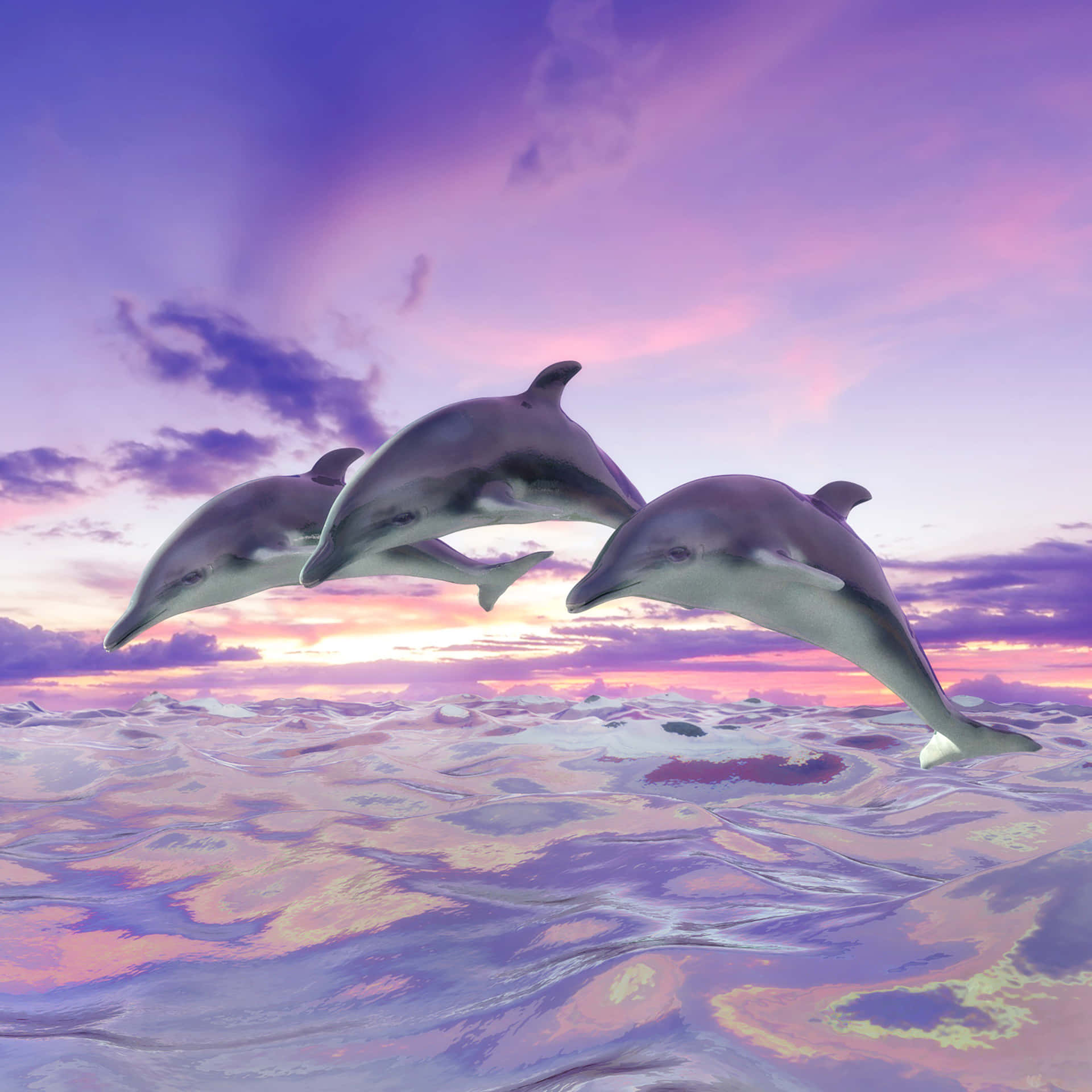A beautiful and playful Pink Dolphin Wallpaper