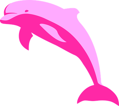 Pink Dolphin Vector Art PNG