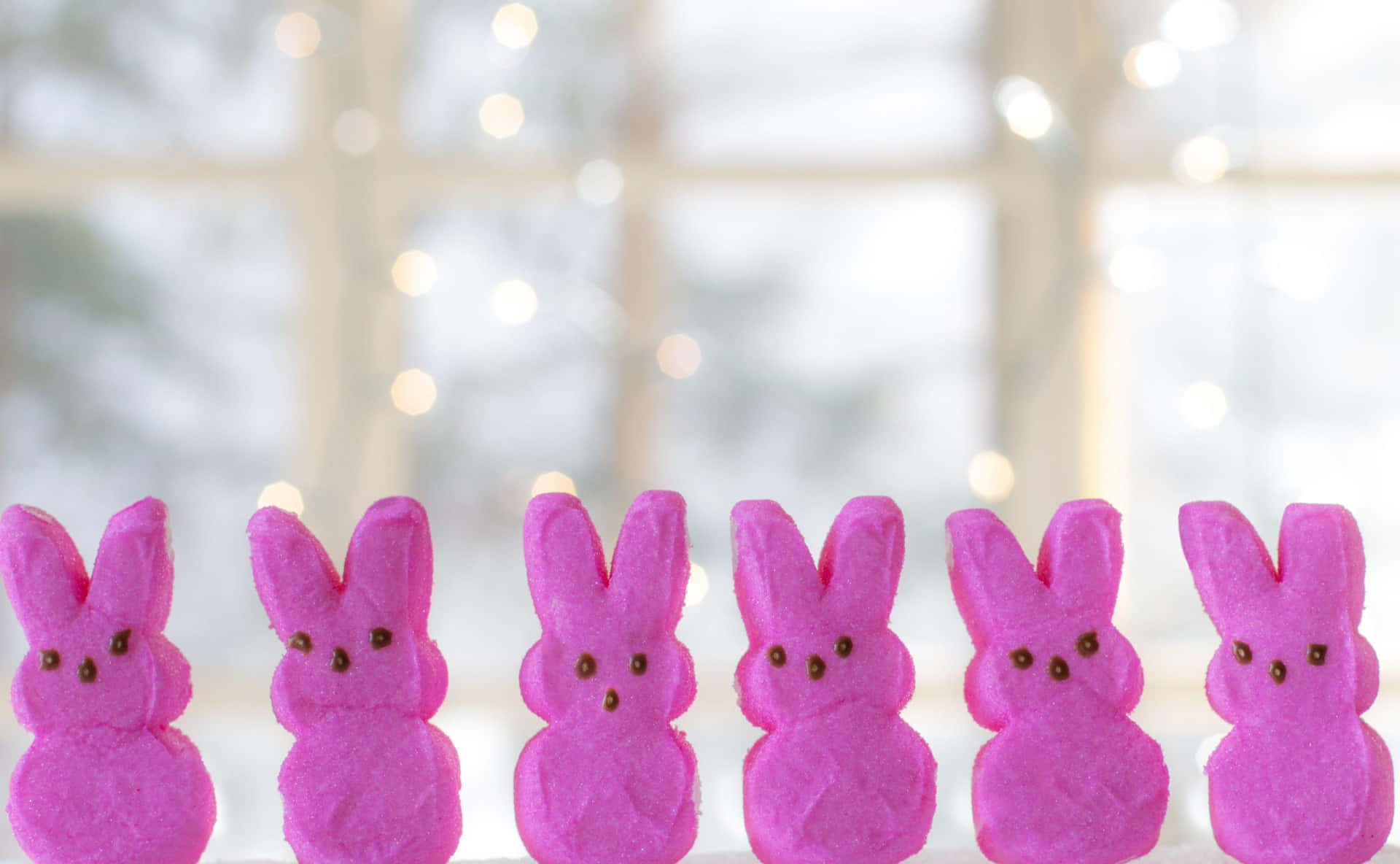 Pink Easter Bunny Peeps Row Wallpaper