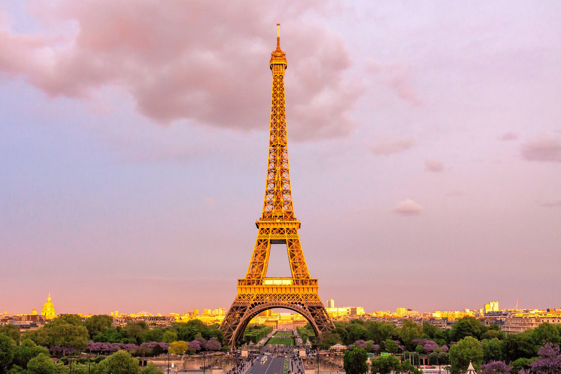 Pink Eiffel Tower Dominating  Wallpaper