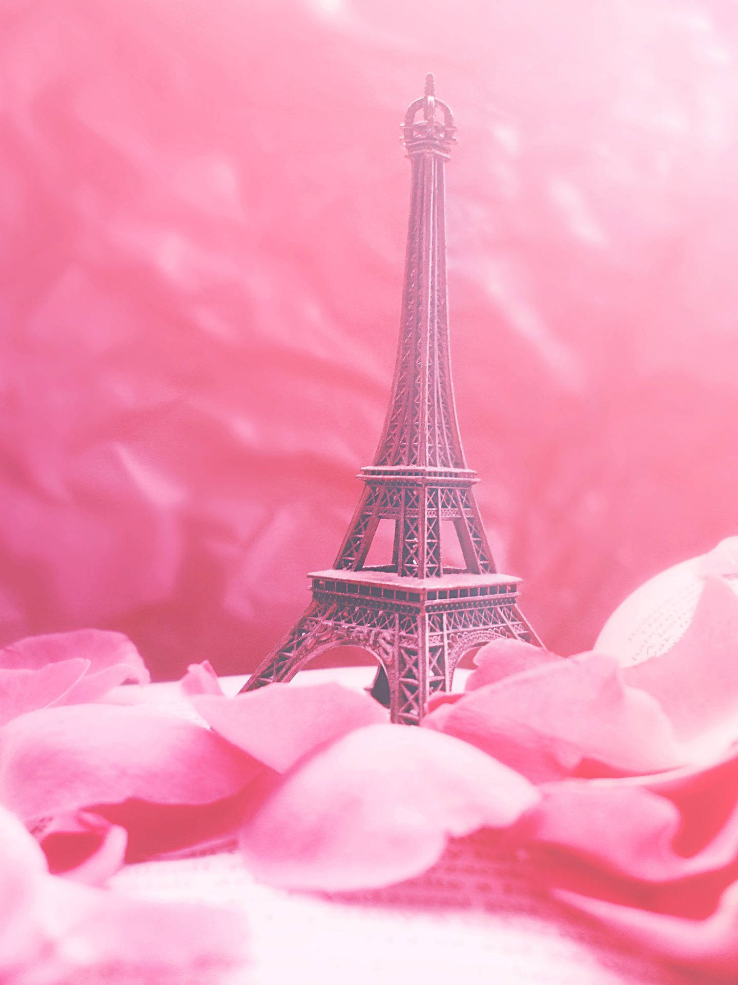 Pink Eiffeltårnet Rosenblade Wallpaper