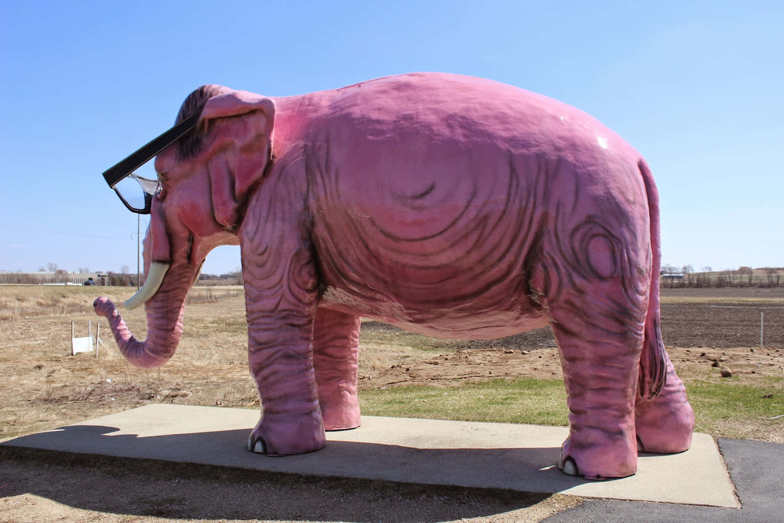 Playful Pink Elephant Wallpaper