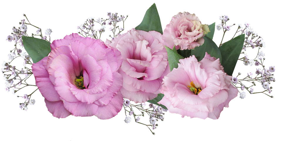 Pink_ Eustoma_ Flowers_ Arrangement PNG