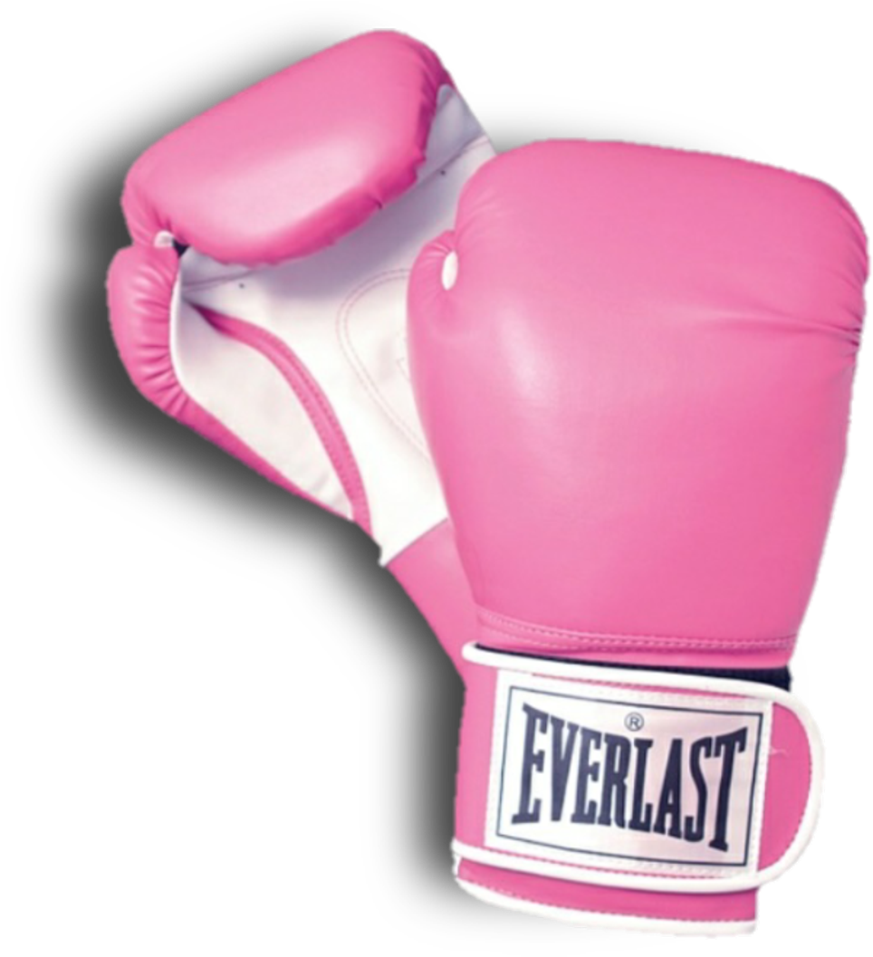 Pink Everlast Boxing Gloves PNG