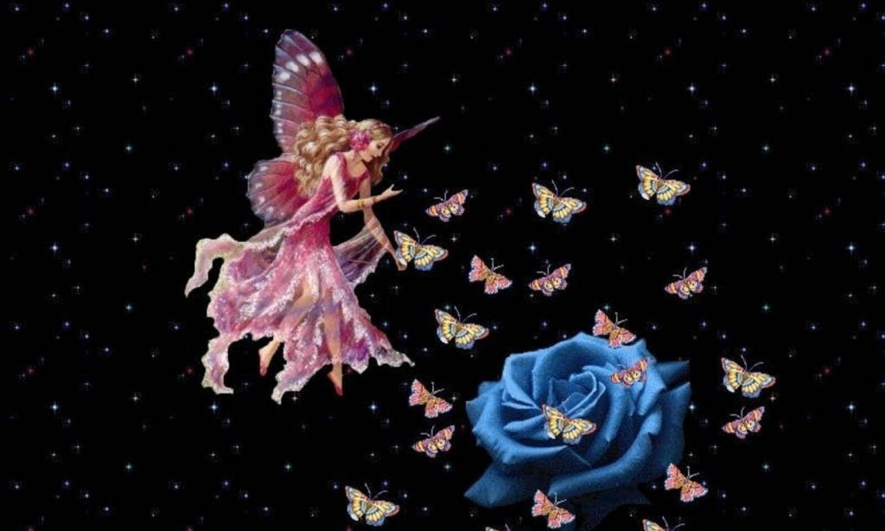 Pink Fairy Blue Rose