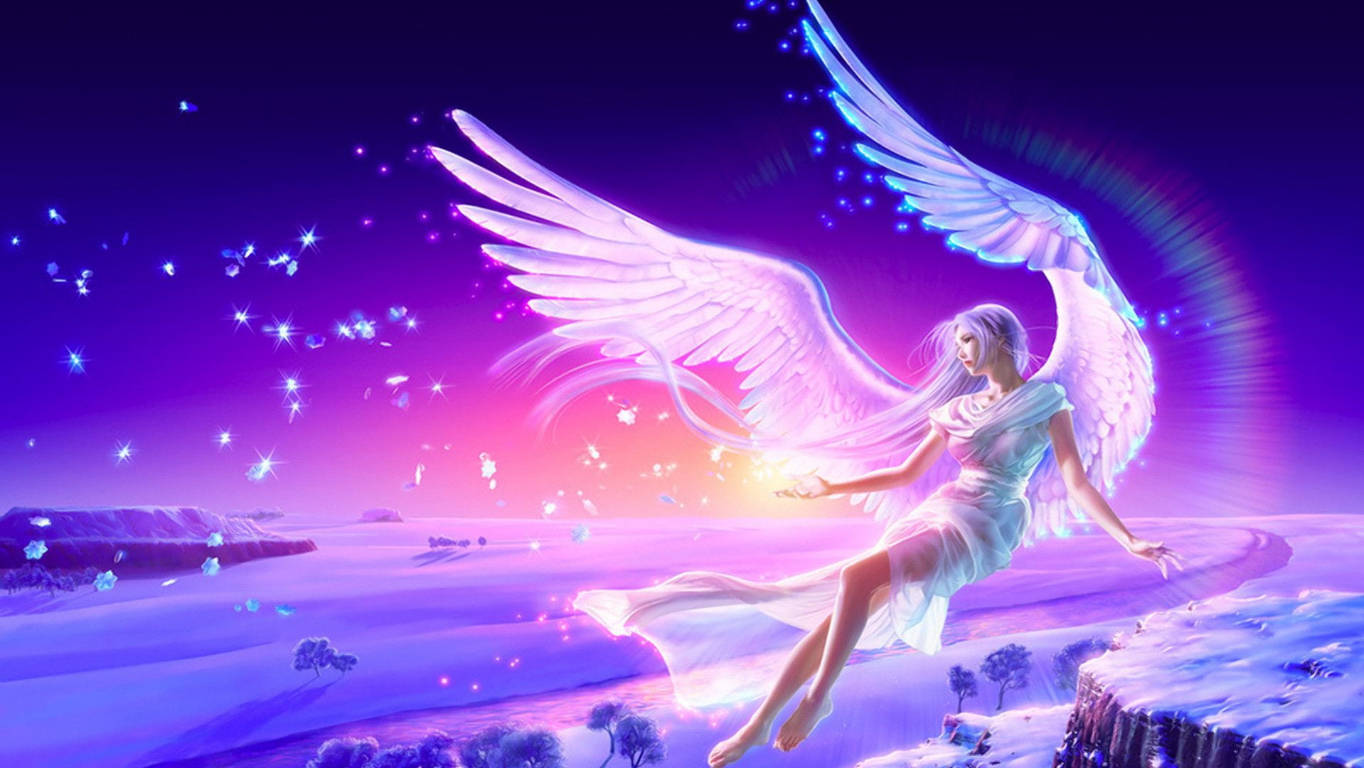 Download Pink Fairy Flying Night Wallpaper 