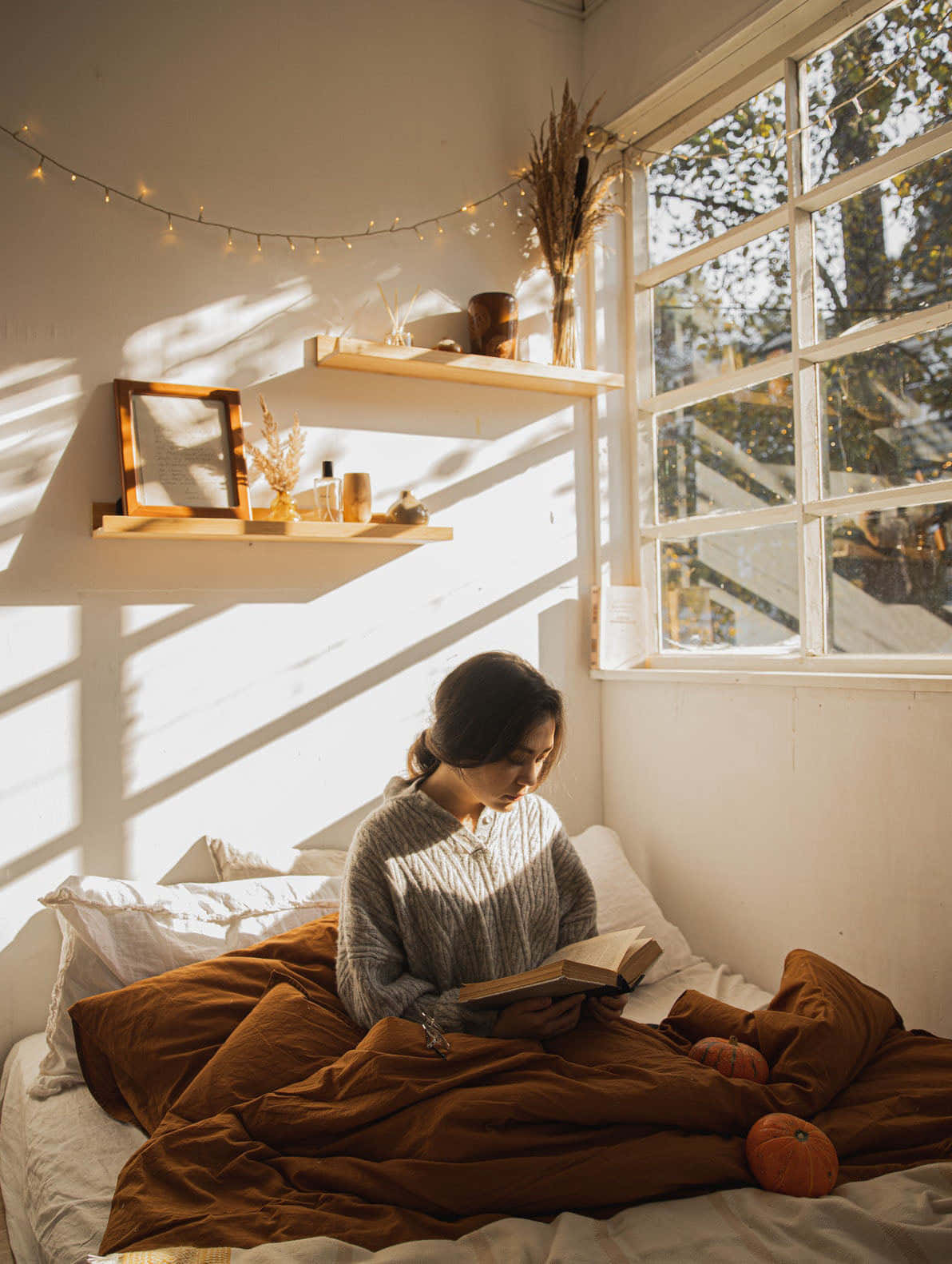 A Woman Reading A Book In Bed Wallpaper