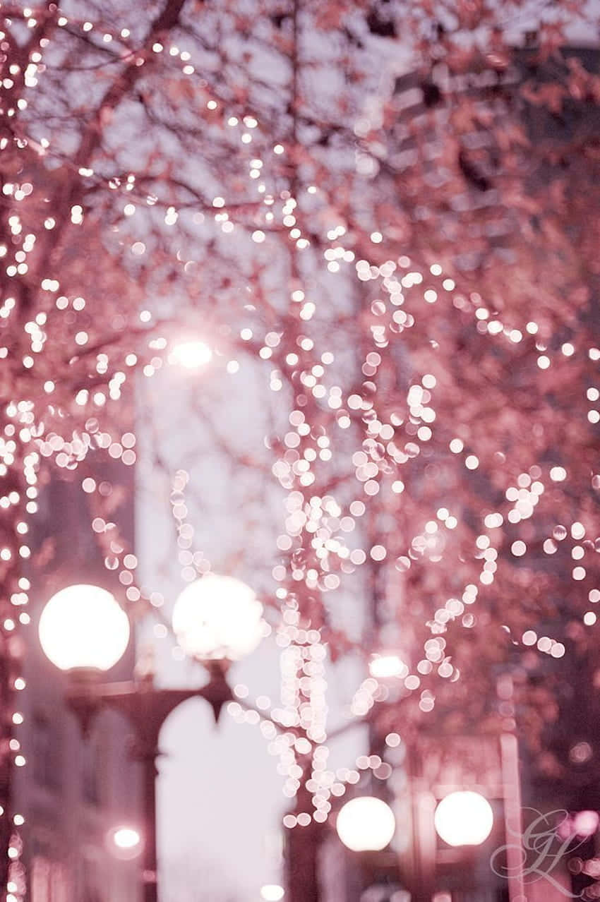Create a dreamy ambience with delicate pink fairy lights. Wallpaper
