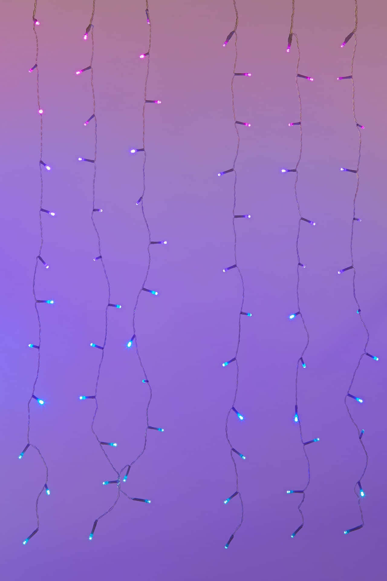 A Purple And Blue Light String Hanging From A Purple Wall Wallpaper