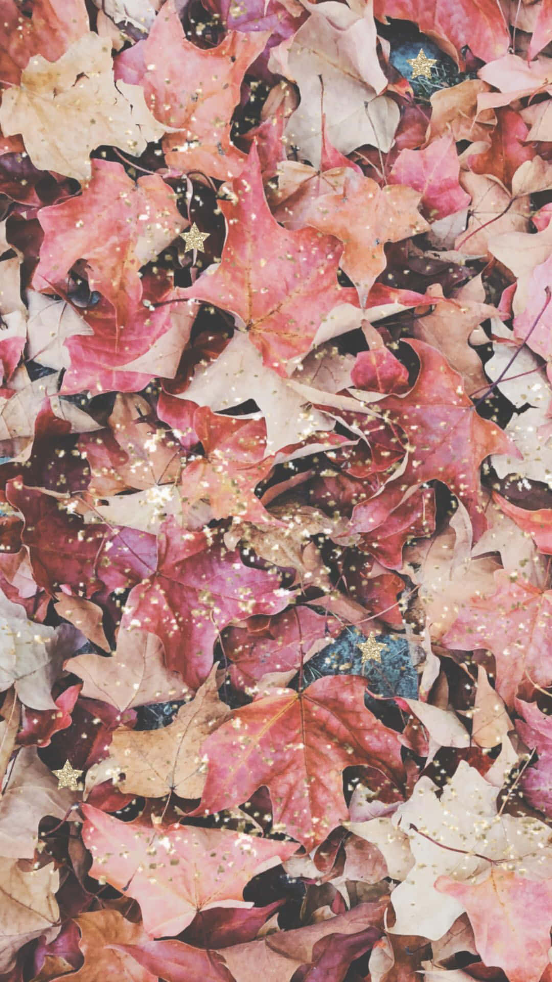 “The Beauty of Pink Fall” Wallpaper