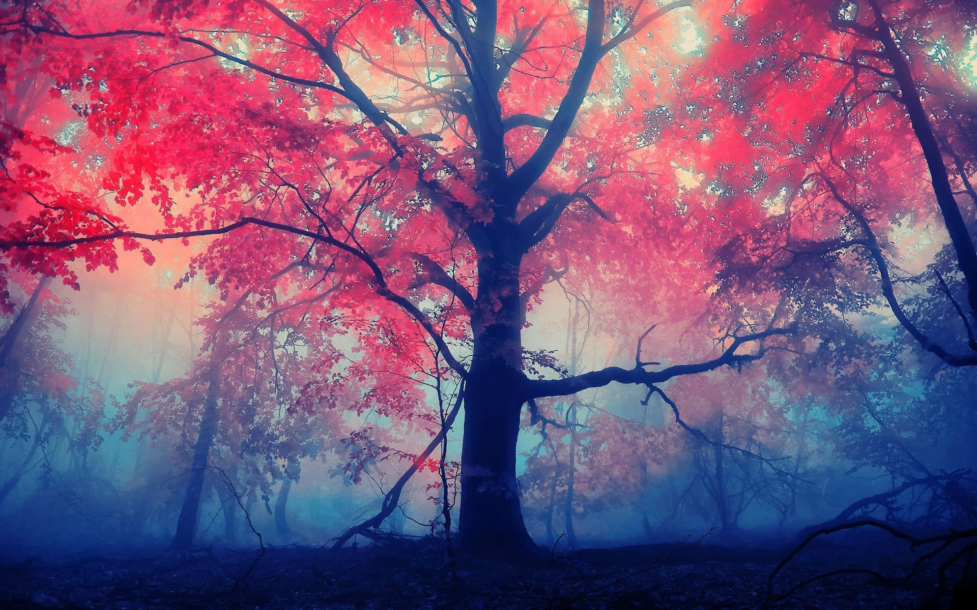 En Opløftende Lyserød Efterårsskov Himmel Wallpaper