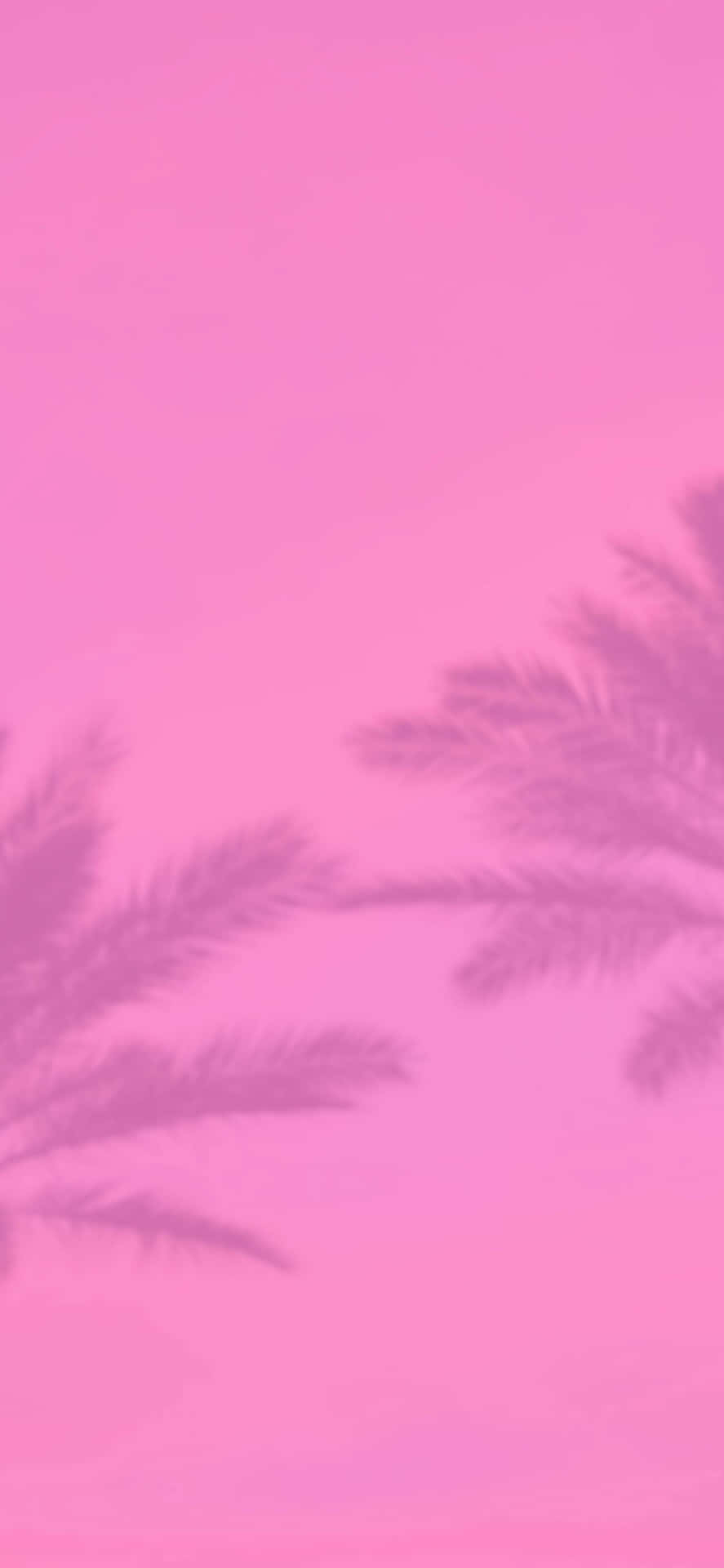 Pink Fall Aesthetic Feather Shadows Wallpaper