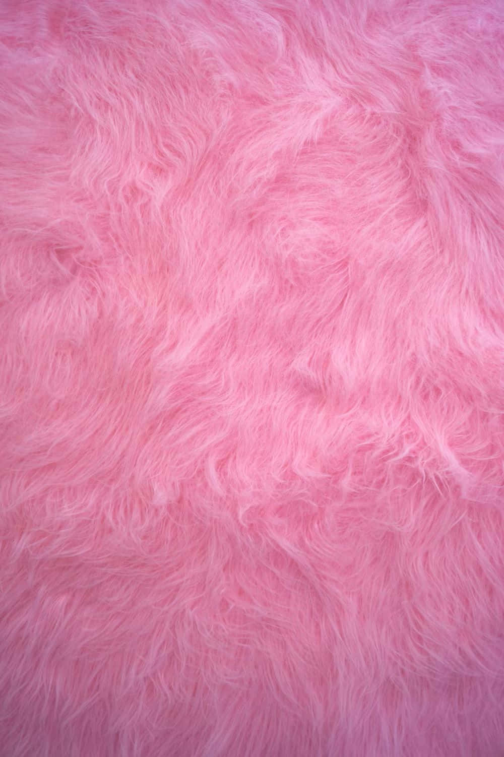 Download Pink_ Faux_ Fur_ Texture_ Closeup Wallpaper | Wallpapers.com