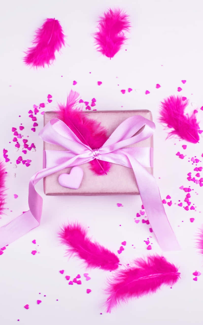 Pink Feather Gift Presentation Wallpaper