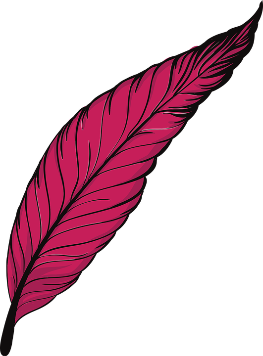 Pink Feather Pen Illustration PNG