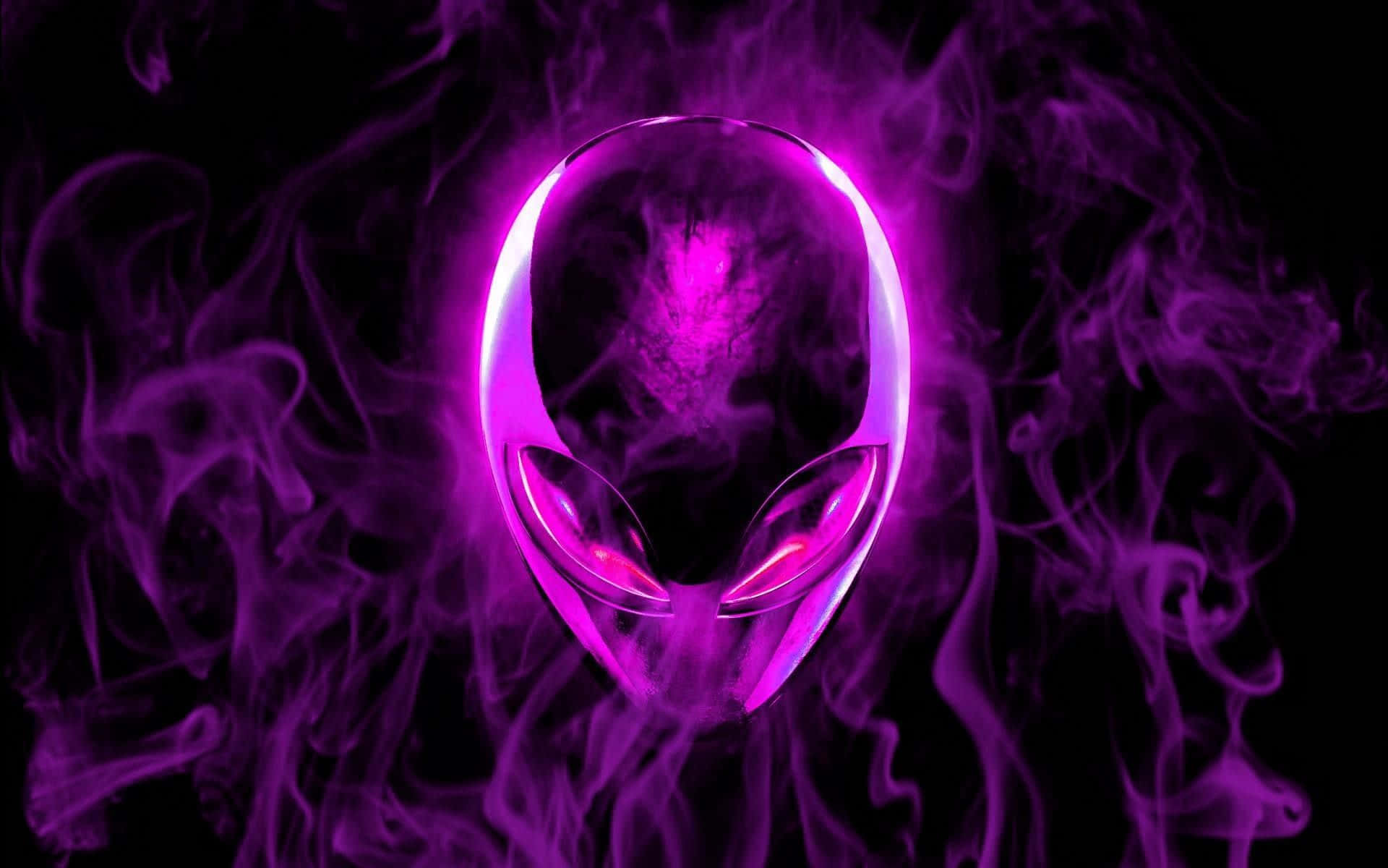 Take Flight With Pink Flames Wallpaper