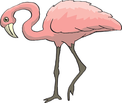 Pink Flamingo Cartoon PNG