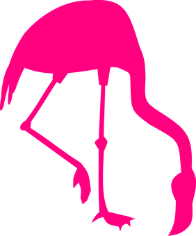 Pink Flamingo Silhouette PNG