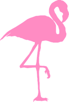 Pink Flamingo Silhouette PNG